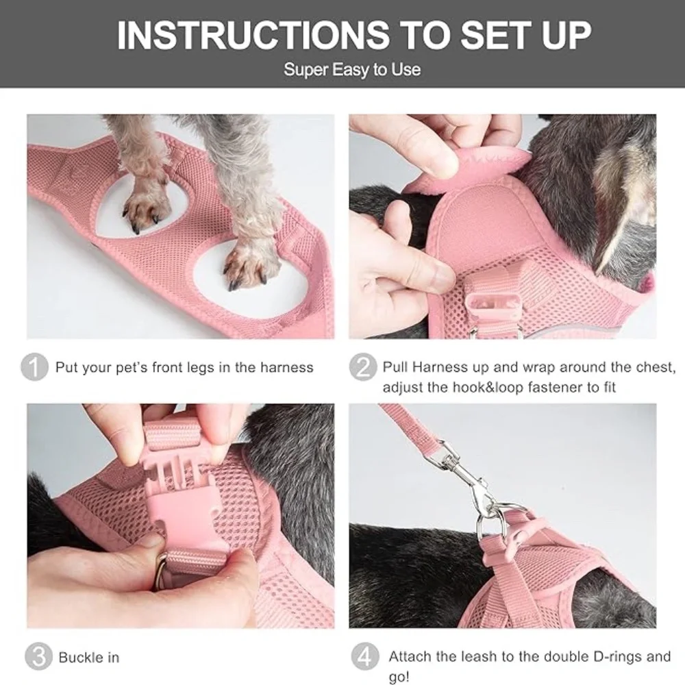 Cat dog kitten adjustable collar OS and harness XXXS set sanitized